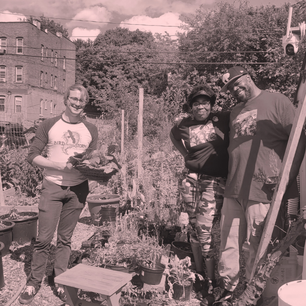 A light red and black filter over an image of three people standing in an urban farm and smiling at the camera. One person is holding a basket of veggies.